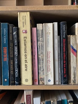 Lote de 40 libros historia argentina, ensayos (caja 1)