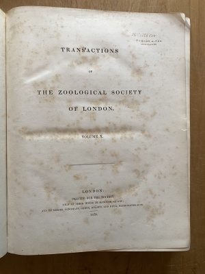 631 d1 dd1 792 d 419 c 828 f 0 c67 b8 a5 c3 e2.jpg