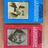 La Educacion Sentimental / Tres Cuentos - Flaubert, G. (p5)