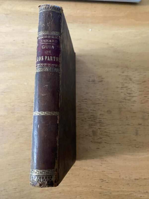 Guia Practico De Los Partos - Penard, Luciano (B2)