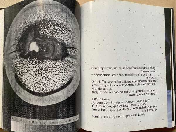 Fantasmas Para Siempre - Bradbury, Ray; Sessa, Aldo (U0) - Image 3