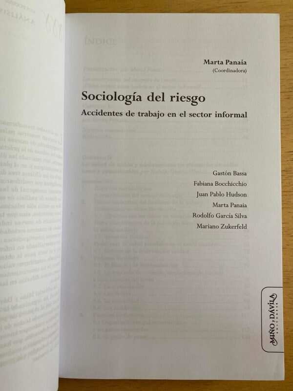 Sociologia Del Riesgo. Accidentes De Trabajo En- Panaia (j2) - Image 2