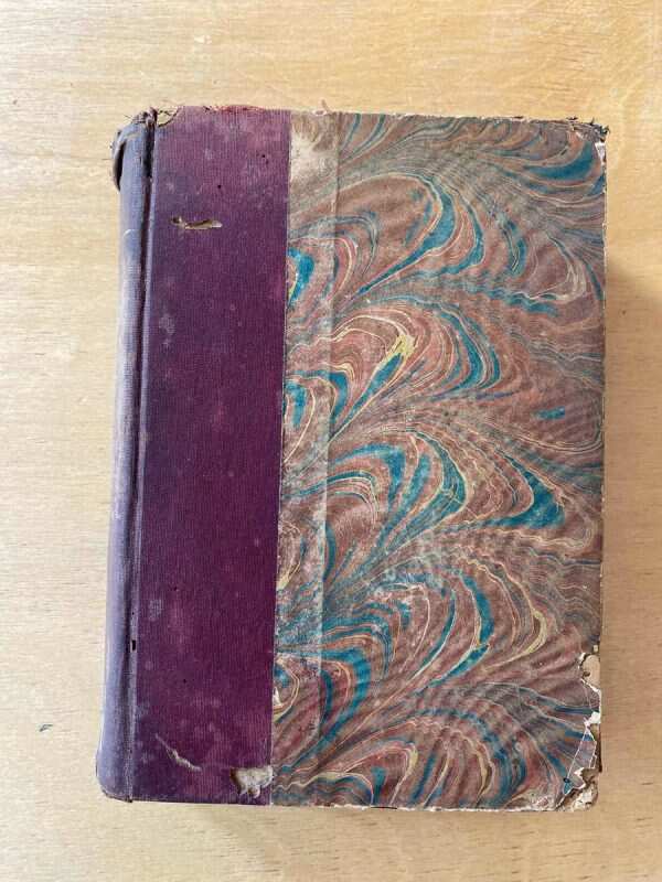 Mi Año Literario. Publicacion Anual. 1903 - Reynal O` (C4) - Image 3