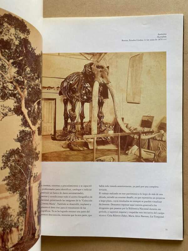 La Coleccion Del Emperador Museo Nac. De Bellas Artes (a7) - Image 3