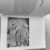 Coyolxauhqui - Eduardo Matos/felipe Ehrenberg - Grobet (y3) - Image 3