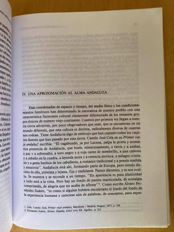 Apuntes Para Una Teoria De Andalucia - Ortega Muñoz (d2) - Image 2