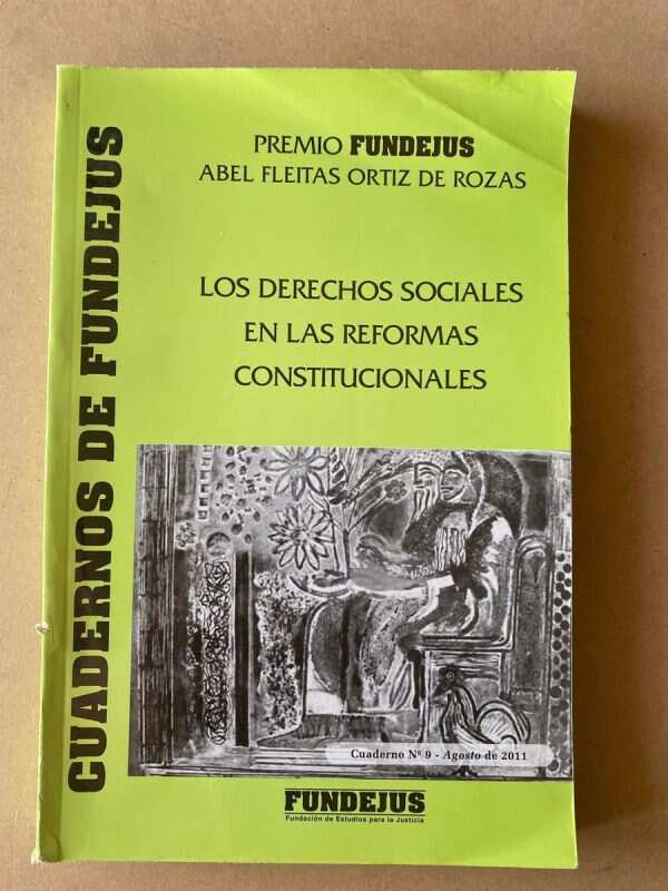 Los Derechos Sociales En Las Re- Fleitas Ortiz De Rozas (D7)