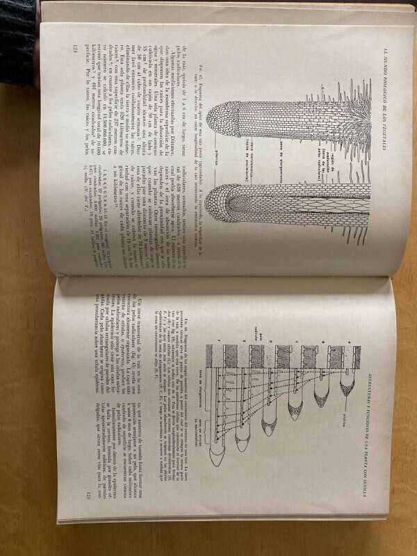 Biologia - Villee, Claude (F5) - Image 2