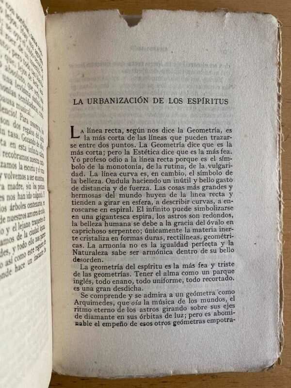 La Capa Del Leon - Leon, Ricardo (aa3) - Image 4