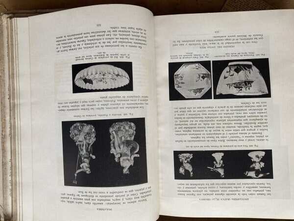 Enciclopedia Grafica De La Ceramica - Saavedra Mendez (u0) - Image 4