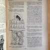 Diccionario Del Folklore Ecuatoriano - De Carvalho Neto (q3) - Image 3