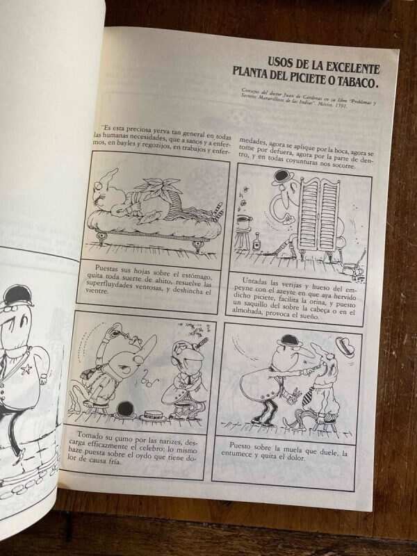 El Libro De La Sabiduria De Oski - (W3) - Image 2