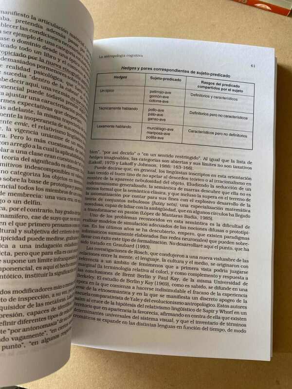 Corrientes En Antropologia Contemporanea - Reynoso (A1) - Image 2