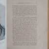 Las Reliquias De Sarmiento - Bucich Escobar, Ismael (i2) - Image 3