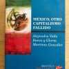 Mexico, Otro Capitalismo Fallido- Valle; Baeza Y Gloria (g7)