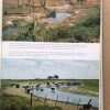 Die La Plata - Lander. Argentinien. Paraguay- Wilhelmy (X5) - Image 3