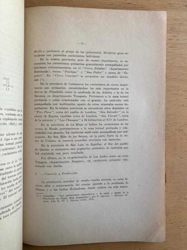 Geologia Economica Argentina - Garcia Castellano (D1) - Image 2