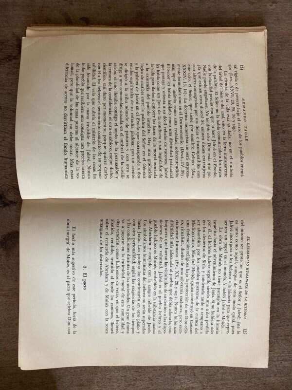 El Desarrollo Humanista De La Historia - Tagle, Armando (A4) - Image 3