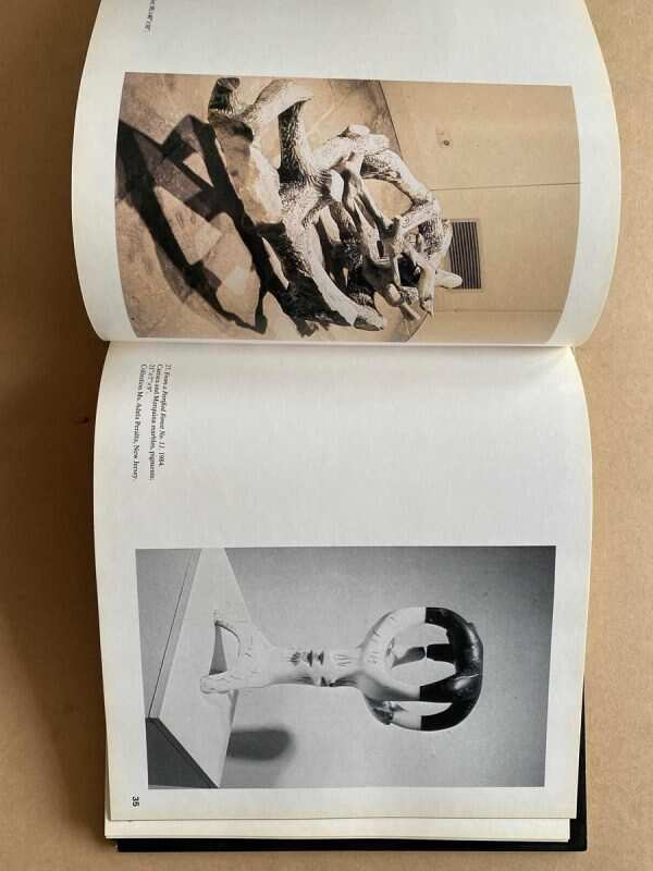 Raul Farco - Shapiro, David; Brown, Elizabeth (A4) - Image 3