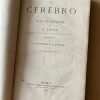 El Cerebro Y Sus Funciones - Luys, J. (A1) - Image 3