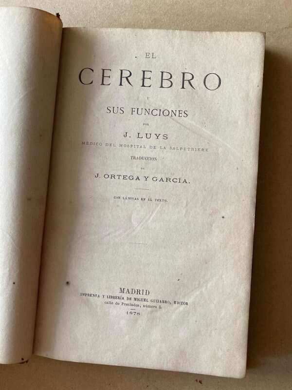El Cerebro Y Sus Funciones - Luys, J. (A1) - Image 3