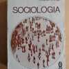 Sociologia - Mac Iver; Page (M3)