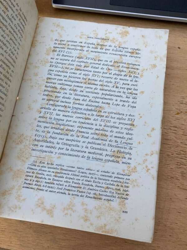 Antologia De Elogios De La Lengua Española - Bleiberg (W2) - Image 2
