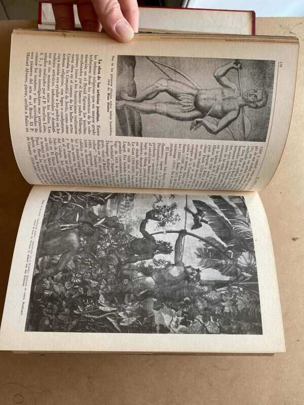 Enciclopedia Del Arte En America - Gesualdo, Vicente (C0) - Image 5