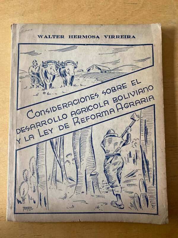 Consideraciones Sobre El Desarrollo - Hermosa Virreira (c3)