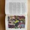 L`angleterre Romantique - Maurois, Andre (A4) - Image 6