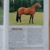 Guia De Las Razas Caballos - Haller, Martin (ñ2) - Image 3